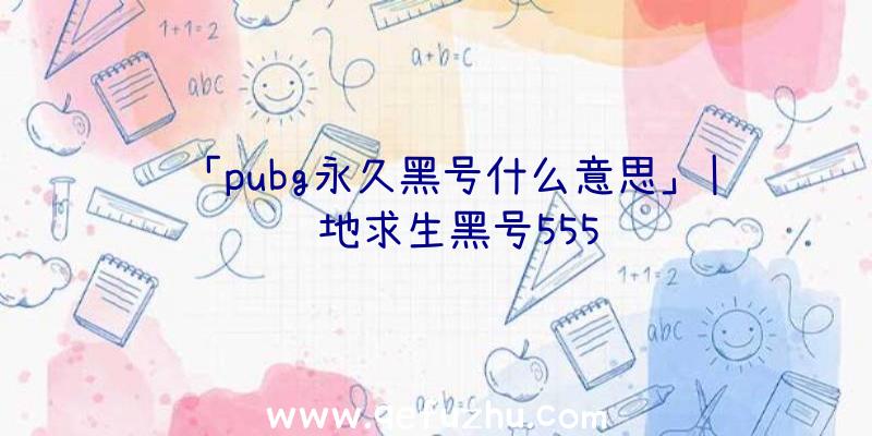 「pubg永久黑号什么意思」|绝地求生黑号555